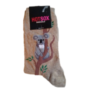 Hot Sox Koala socks NEW